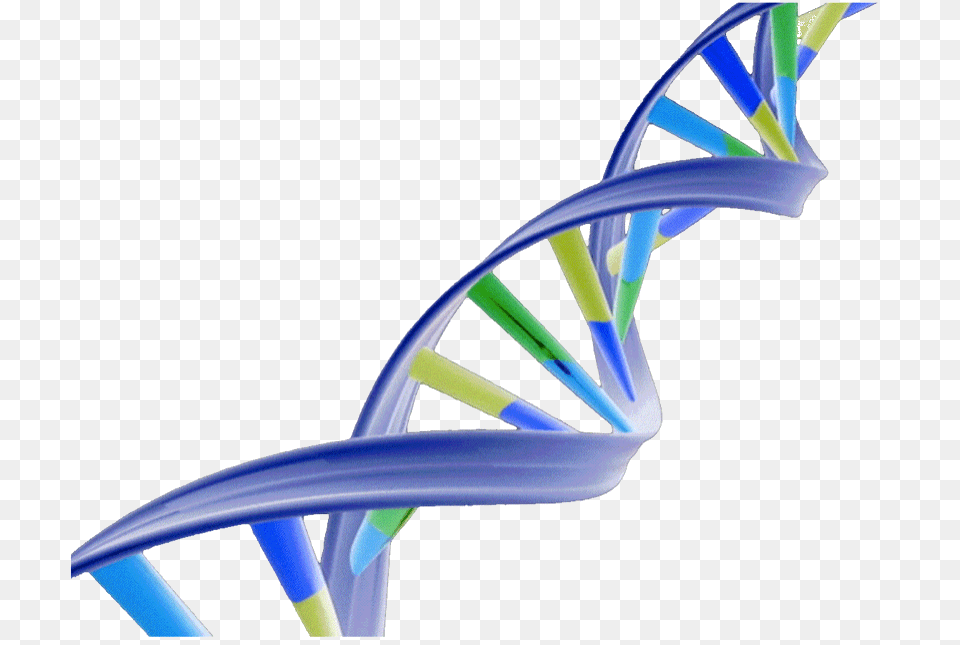 Dna Structure Clipart Architecture, Staircase, Housing, House Free Transparent Png