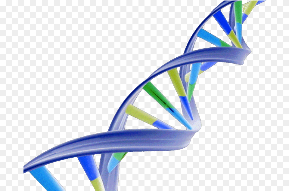 Dna Structure Clipart Transparent Dna Double Helix Transparent, Architecture, Staircase, Housing, House Png
