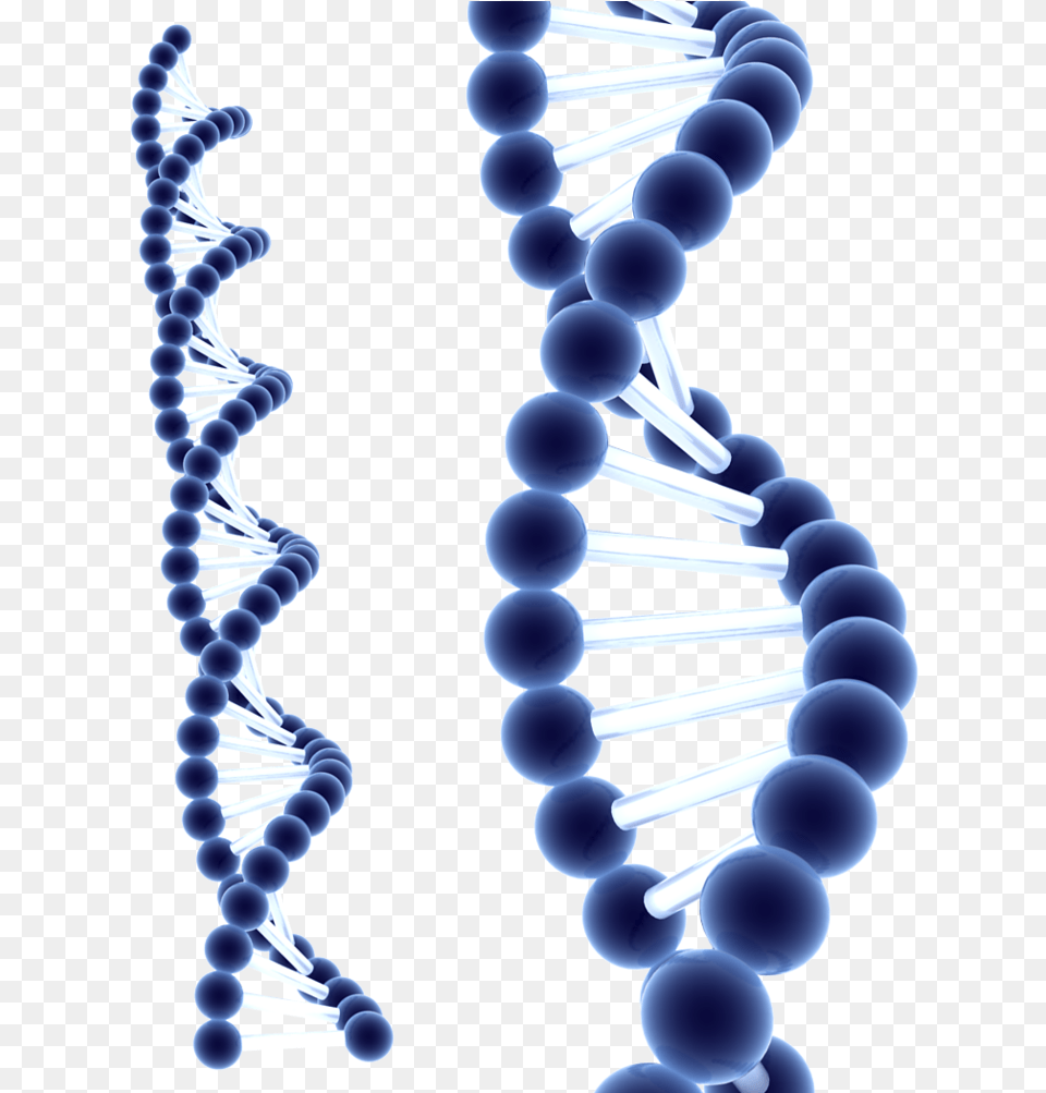 Dna Structure Transparent, Accessories, Chess, Game Png