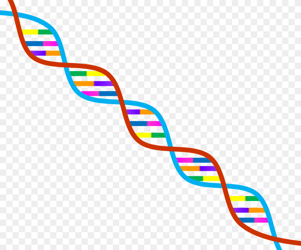 Dna Symbol Clipart, Bow, Weapon, Pattern Free Png Download