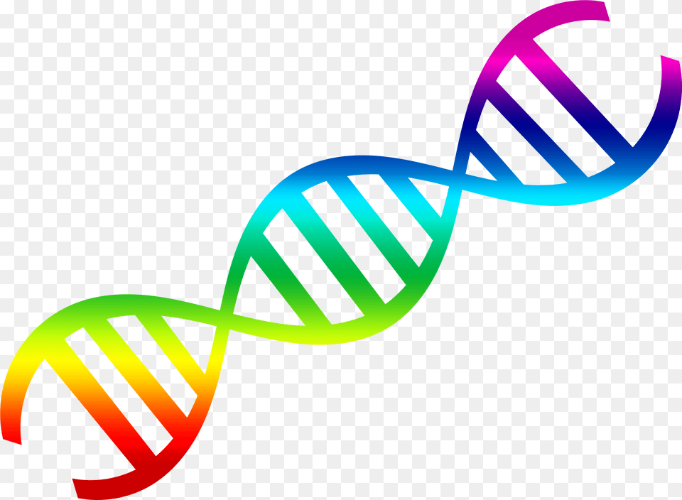 Dna Transparent, Art, Graphics, Logo, Dynamite Png Image