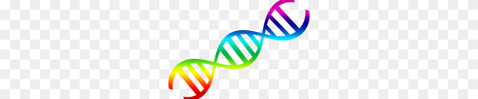 Dna Image, Art, Graphics, Logo Free Transparent Png