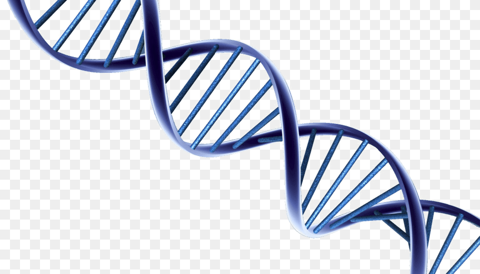Dna Transparent Images, Architecture, Staircase, Spiral, Housing Png