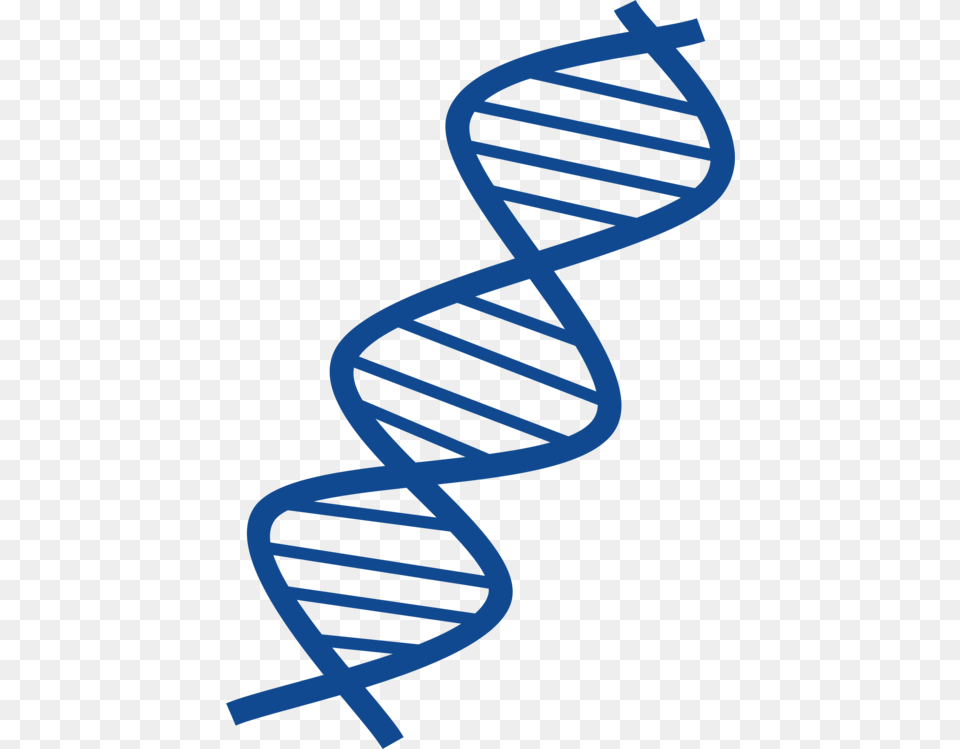 Dna Vector Molecular Structure Of Nucleic Acids A Structure, Architecture, Building, Coil, House Png Image