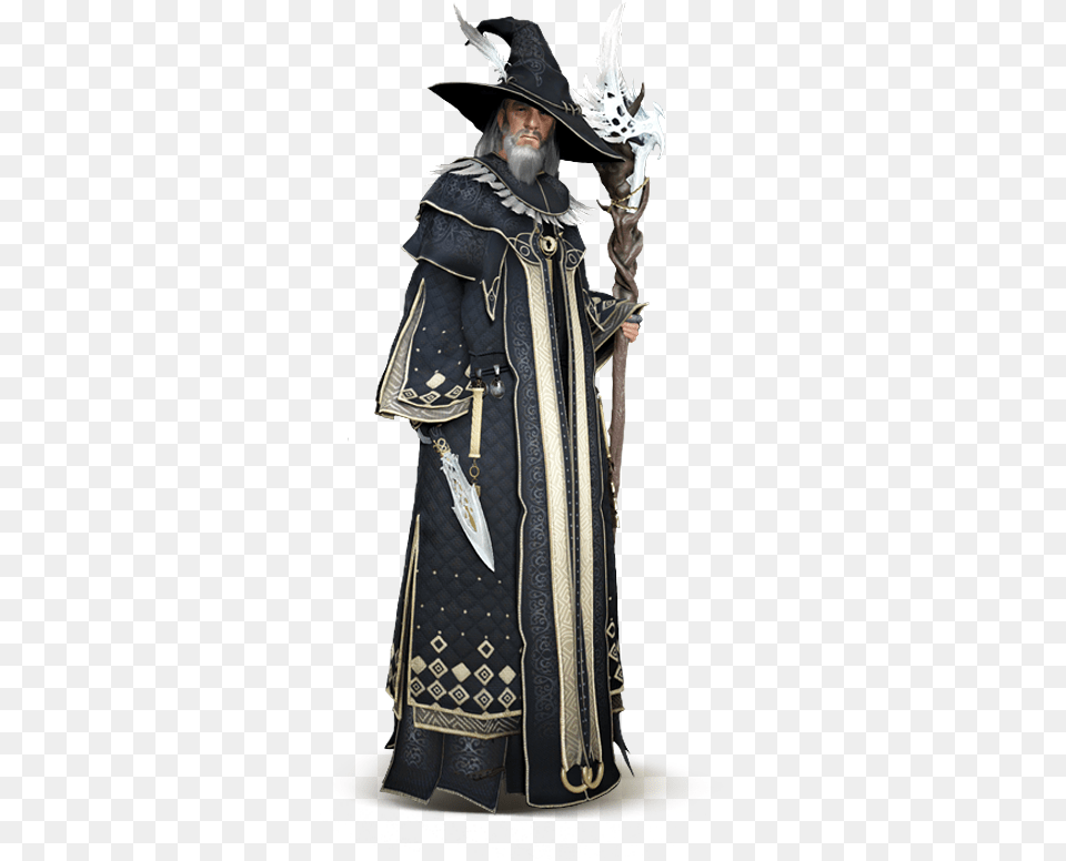 Dnd Wizard, Clothing, Costume, Fashion, Person Png Image