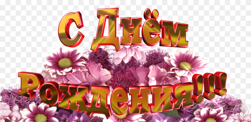 Dnem Rozhdeniya Dlya Fotoshopa, Plant, Flower, Dahlia, Graphics Free Png Download