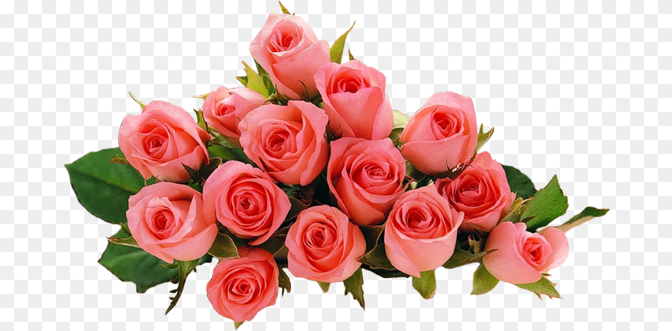 Dnem Rozhdeniya Yulya Svoimi Slovami, Flower, Flower Arrangement, Flower Bouquet, Plant Free Png Download