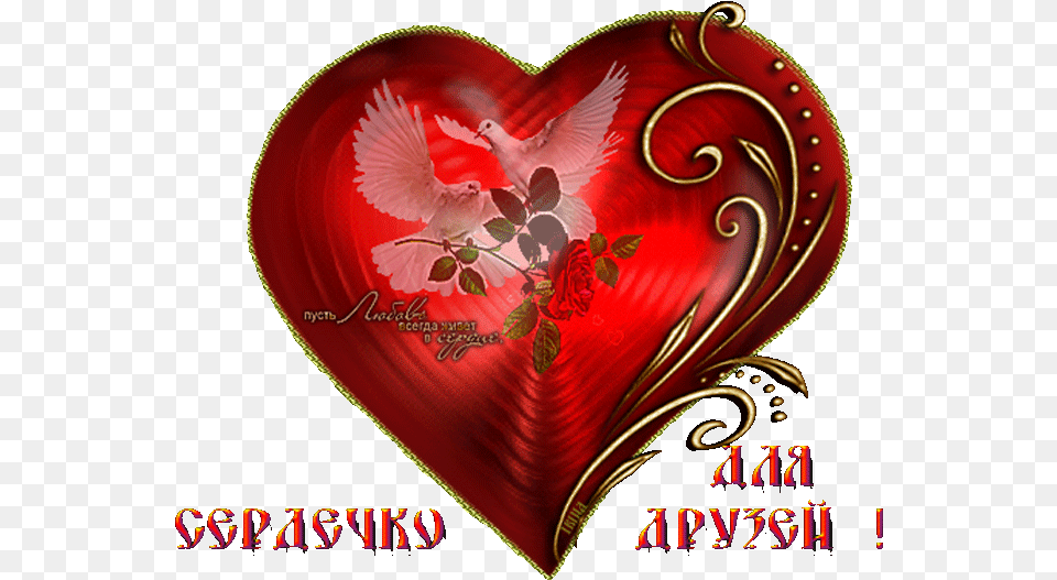 Dnem Svyatogo Valentina Gifki, Heart, Animal, Bird Png