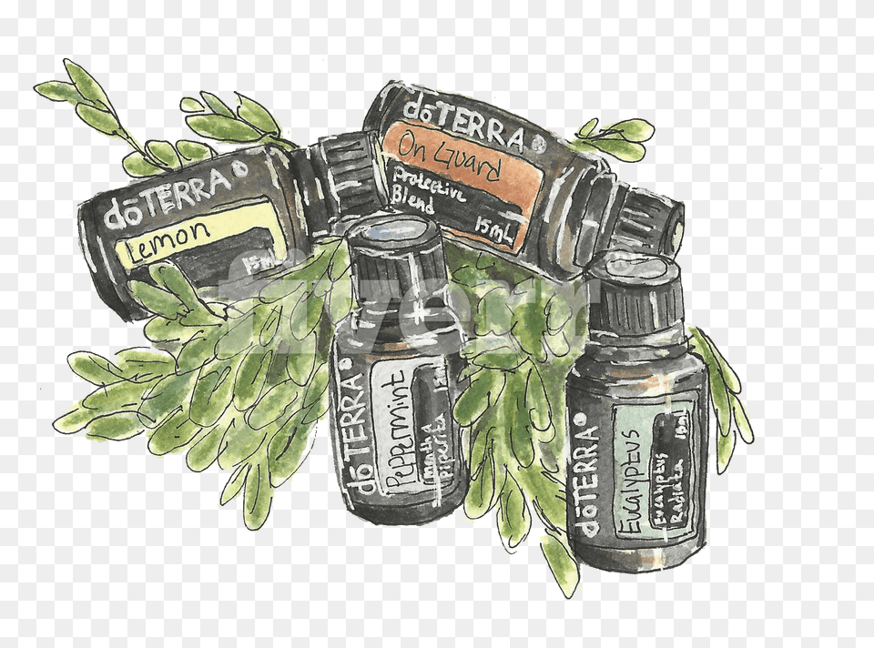Do A Watercolor And Ink Illustration Of Whatever You Glass Bottle, Herbs, Plant, Herbal, Jar Png