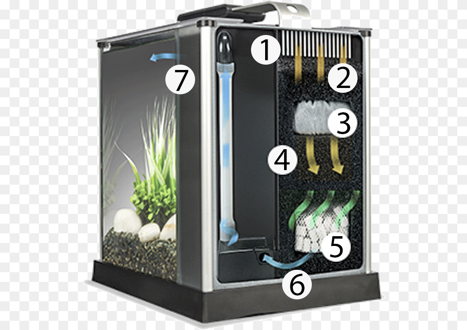 Do Bettas Need A Filter Diagram Built In Filter Fish Tank, Animal, Aquarium, Sea Life, Water Free Png