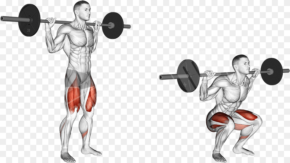 Do Box Squats Work Barbell Squat, Working Out, Fitness, Sport, Person Free Png Download