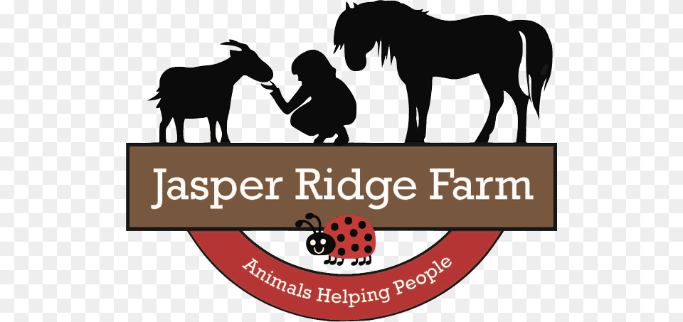 Do Good Jasper Ridge Farm, Person, Animal, Horse, Mammal Png