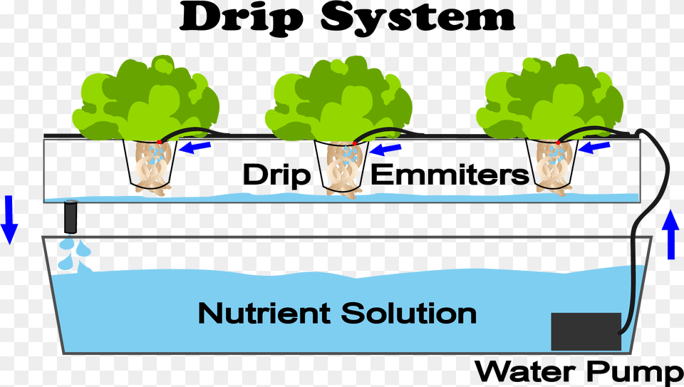 Do Hydroponics Work, Food, Produce Free Transparent Png