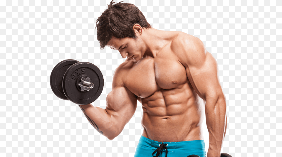 Do Muscles Grow, Adult, Person, Man, Male Png Image