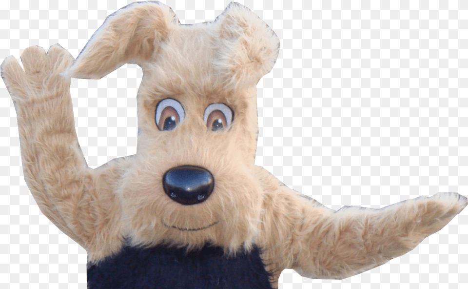 Do Not Eat Or Drink While Using The Costume Costume, Plush, Toy, Animal, Bear Png