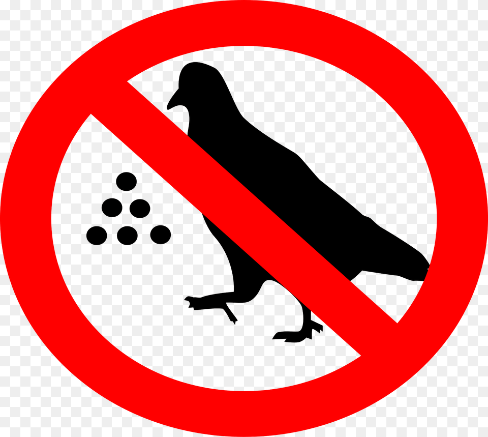 Do Not Feed Pigeons Clipart, Sign, Symbol, Animal, Bird Free Transparent Png