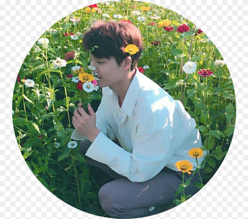 Do Not Use Without Giving Credit Jongin Flowers, Adult, Male, Man, Nature Png Image