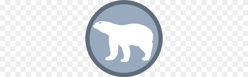 Do Polar Bears Poop In The Woods, Animal, Bear, Mammal, Polar Bear Png