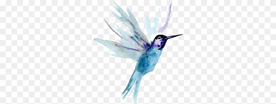 Do What You Can Watercolor Painting, Animal, Bird, Hummingbird, Fish Free Png
