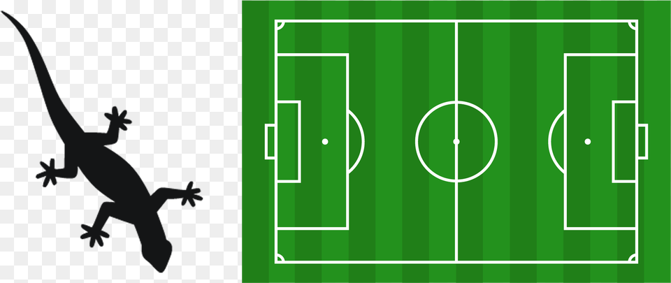 Do You Find That No Matter How Hard You Try You Always Football Field From Above, Animal, Gecko, Lizard, Reptile Png