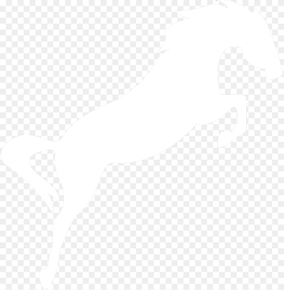 Do You Only Have Horse Racing Tipsters Stallion, Silhouette, Stencil, Baby, Person Png Image