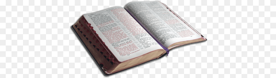Do You Search Google Or The Scriptures Introduction To The Study Of Religion Book, Page, Publication, Text Png Image