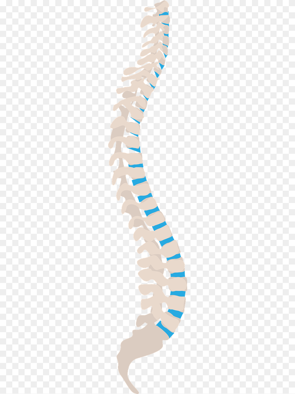 Do You Suffer From Neck And Back Pain It Could Be How Ryggraden, Outdoors, Water, Baby, Nature Free Png
