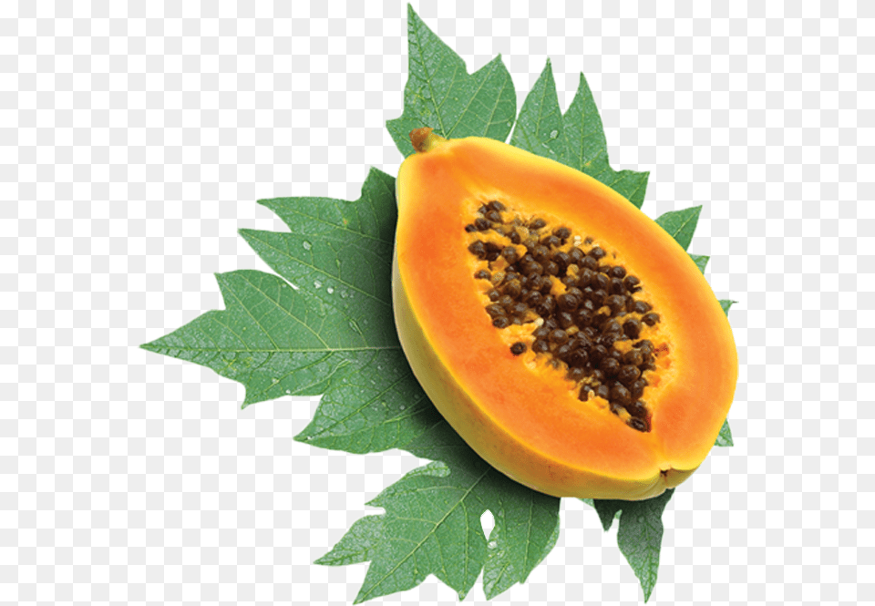 Do You Want More Informations About This Crop Vitamin A In Papaya, Food, Fruit, Plant, Produce Png
