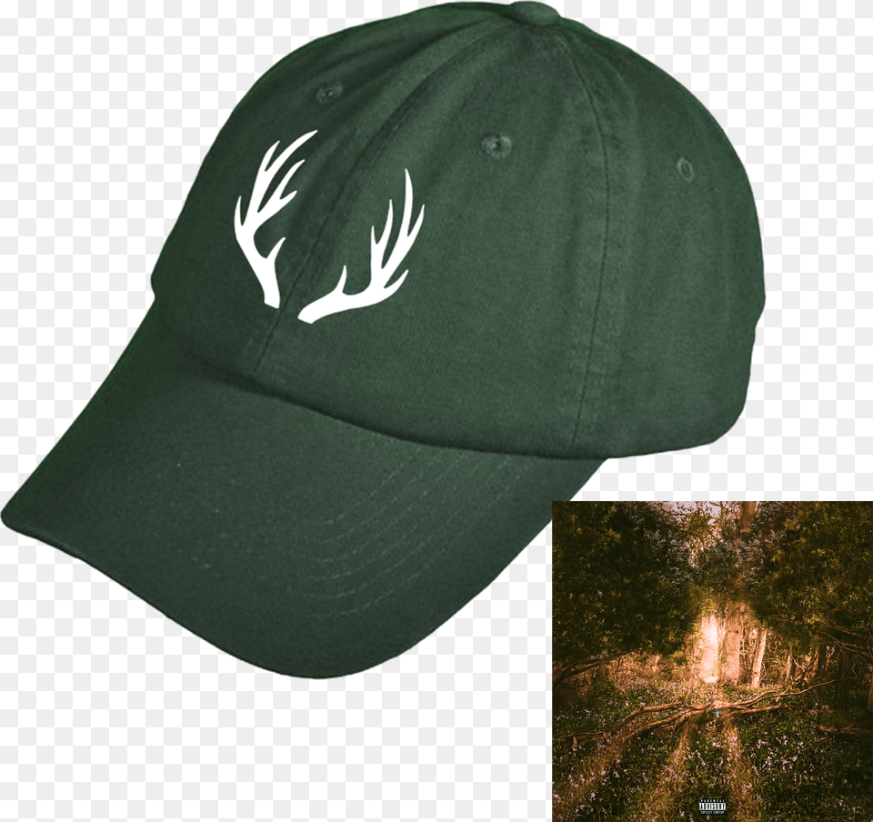 Doam Hat Grn Bambi Baseball Cap Free Png Download