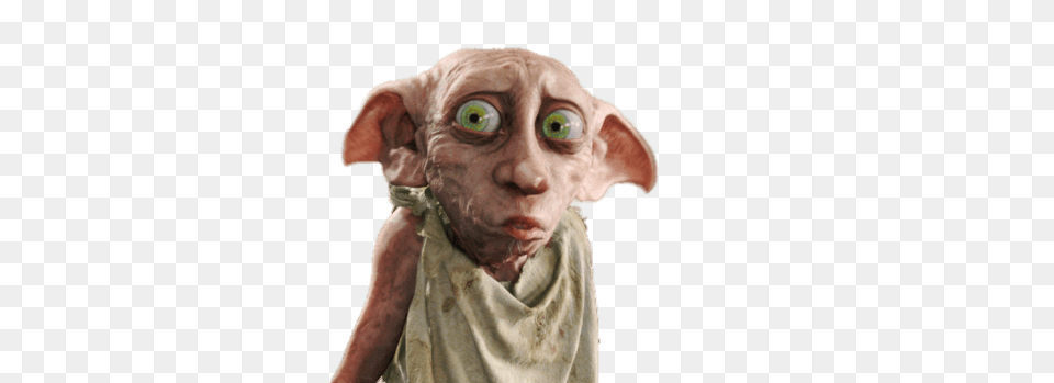 Dobby The Goblin, Portrait, Photography, Alien, Person Free Transparent Png