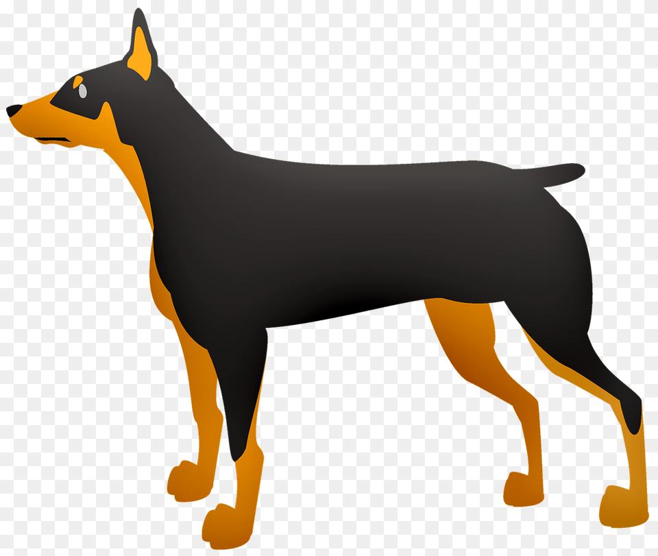 Doberman Clipart, Animal, Kangaroo, Mammal, Pet Free Png Download