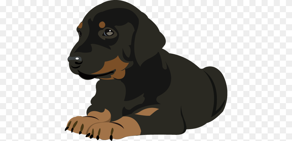 Doberman Cliparts, Animal, Canine, Dog, Mammal Free Png