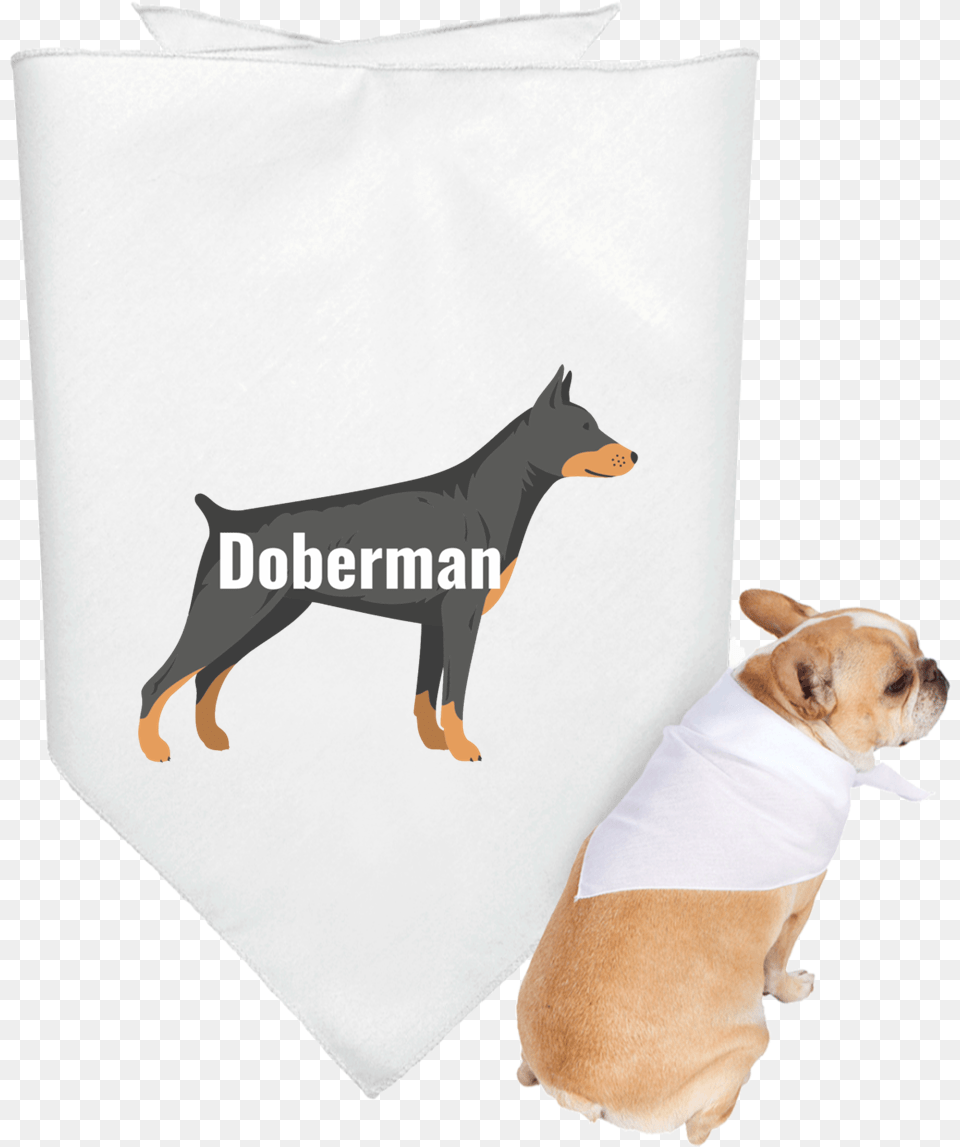 Doberman Illustration With Name Within 3905 Doggie Customcat Pug Life 3905 Doggie Bandana, Mammal, Animal, Canine, Dog Free Png Download