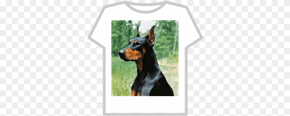 Doberman Pinscher Roblox Buzz Lightyear Hoodie T Shirt Roblox, Clothing, T-shirt, Animal, Canine Free Png