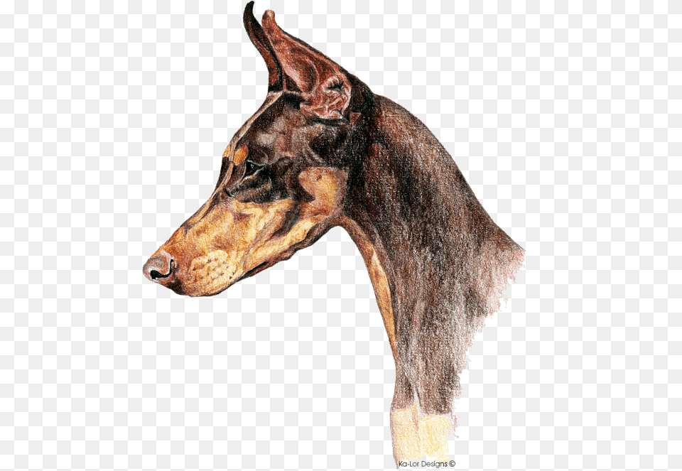 Doberman Pinscher Tote Bag Drawing Of Doberman Dog, Snout, Animal, Dinosaur, Reptile Free Png Download