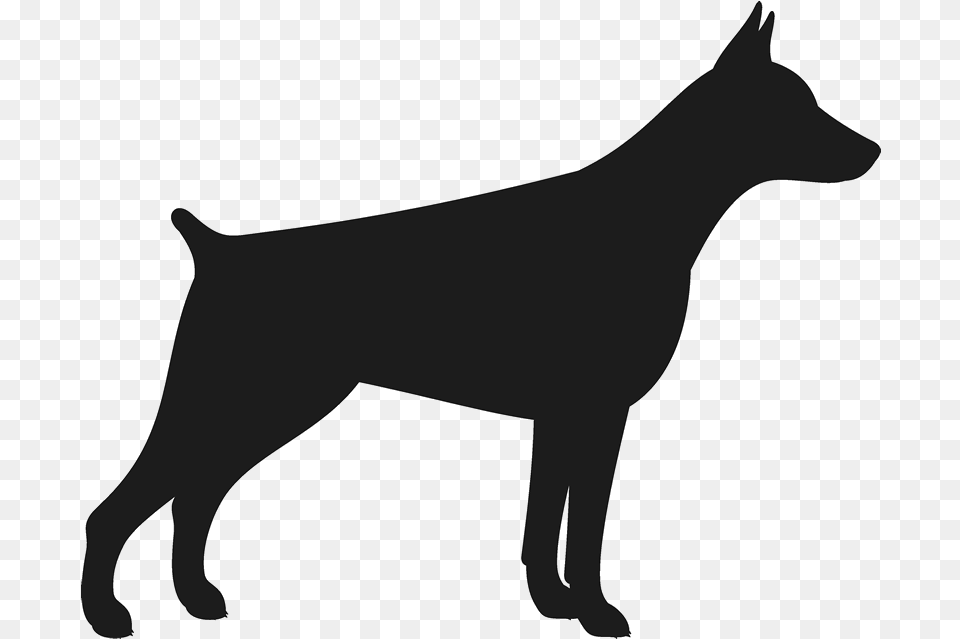 Doberman Stamp Doberman Silhouette, Animal, Canine, Dog, Mammal Png