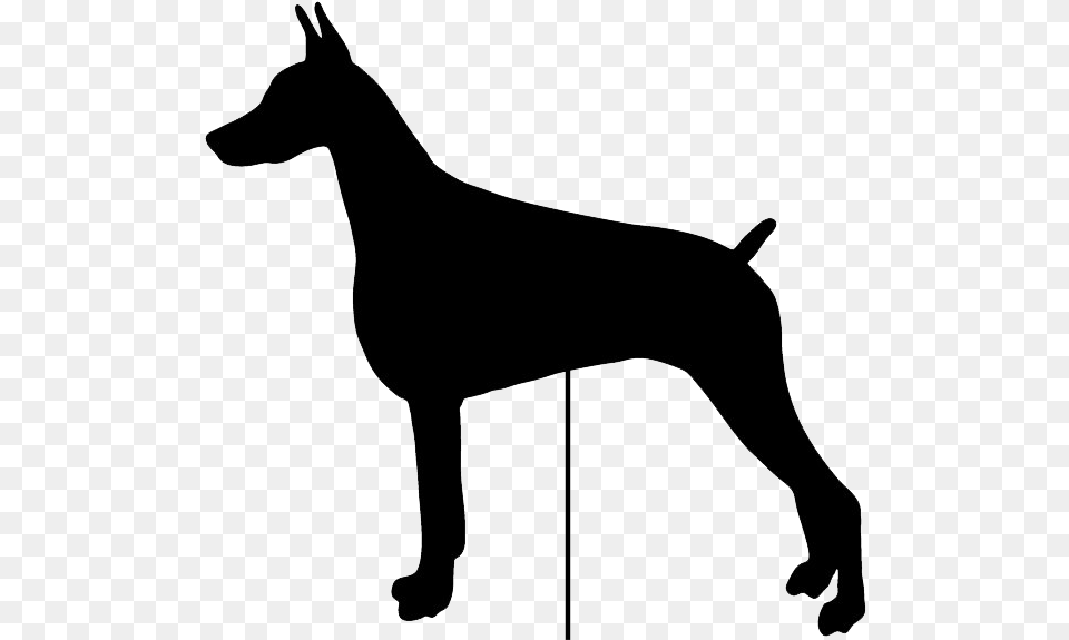 Doberman Vector Head Dobermann, Silhouette, Animal, Pet, Canine Free Png