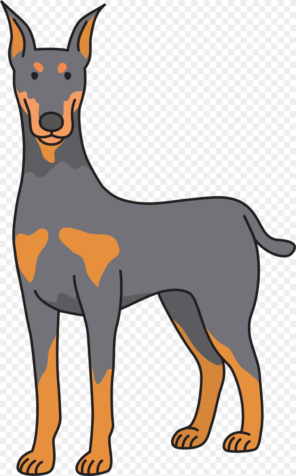 Dobermann Art Dog Transprent Graphic Library Download Doberman Clipart, Animal, Kangaroo, Mammal, Canine Free Transparent Png