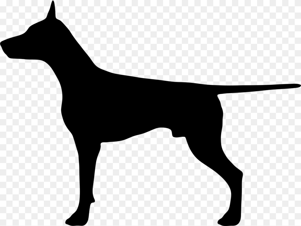 Dobermann German Shepherd Cat Bulldog Pet, Gray Png