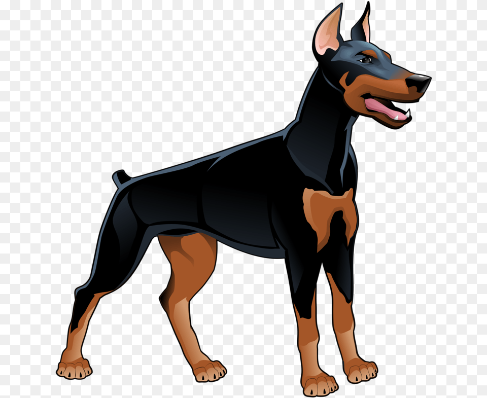 Dobermans Dog Illustrations Vector, Animal, Horse, Mammal, Canine Free Png Download