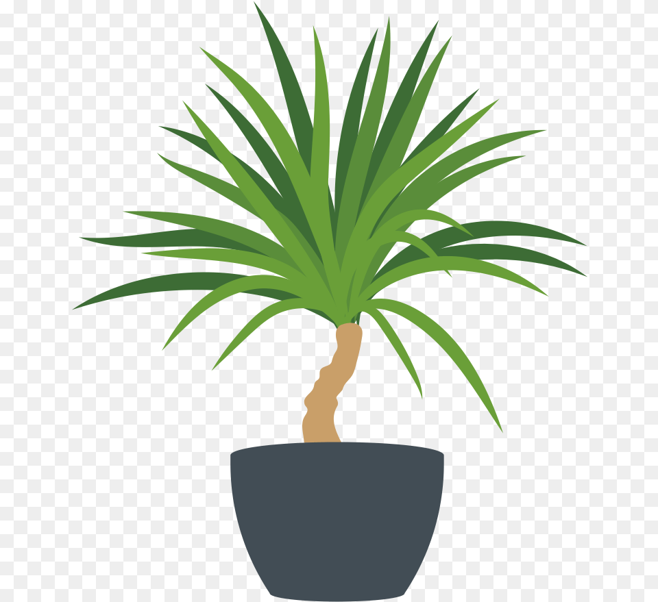 Docs Flowerpot, Palm Tree, Plant, Potted Plant, Tree Free Transparent Png