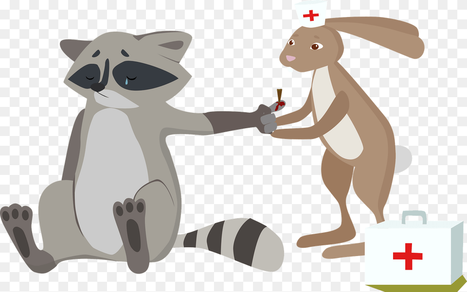 Doctor Animal Clipart, First Aid, Kangaroo, Mammal Png Image
