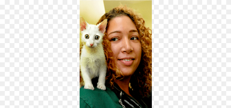 Doctor Christina East At Riverside Animal Hospital Kitten, Cat, Pet, Mammal, Portrait Png Image