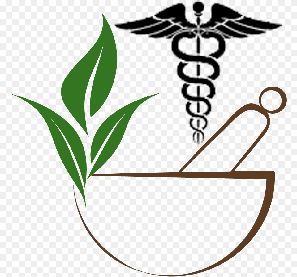 Doctor Symbol Clipart Hipaa Compliance Logo Vector, Herbal, Herbs, Leaf, Plant Png Image