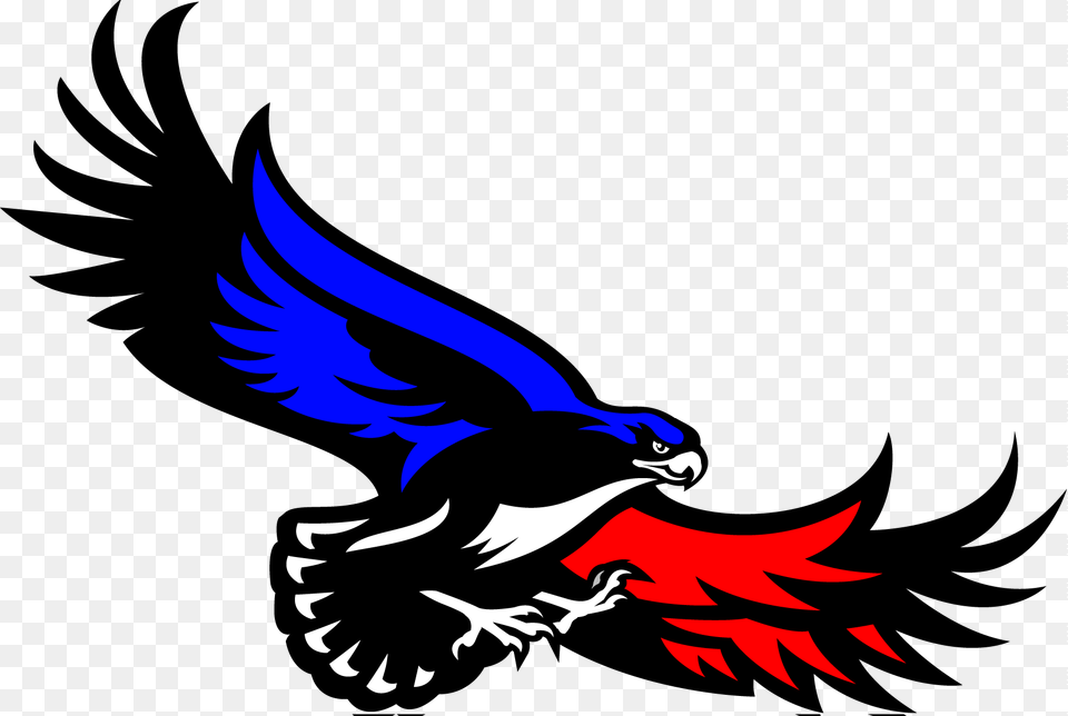 Doctors Charter School Logo, Animal, Bird, Eagle, Emblem Png