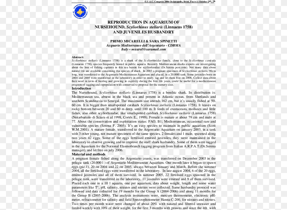 Document Free Png Download