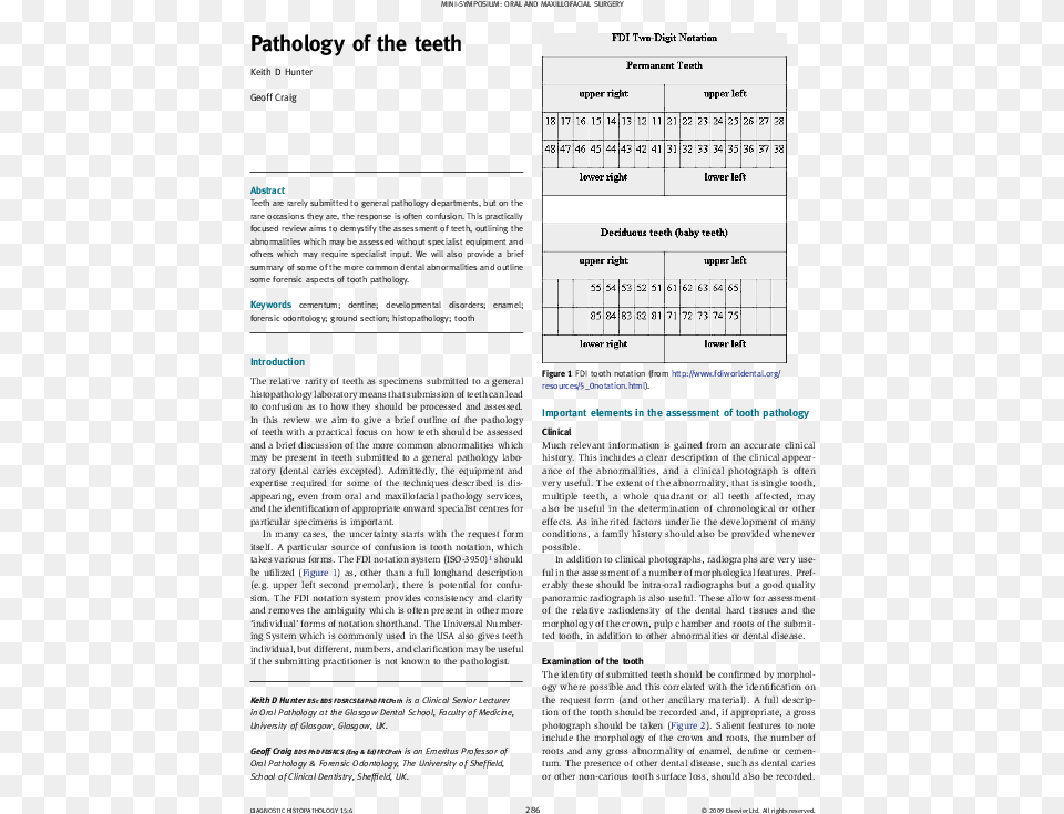 Document, Page, Text Free Png Download