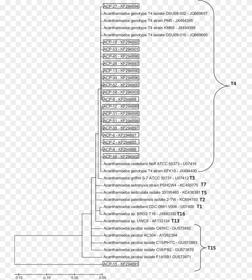 Document, City, Text, Chart, Plot Free Transparent Png