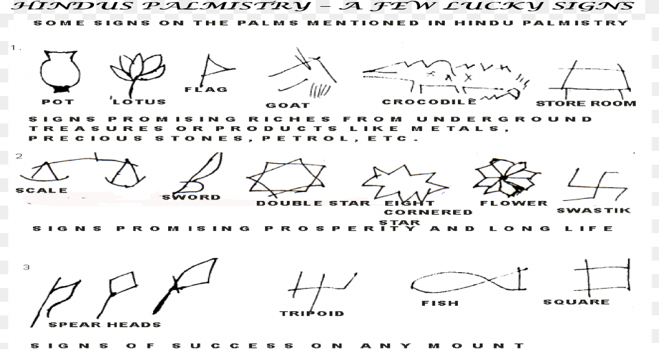 Document, Text, Handwriting, Page, Animal Free Png