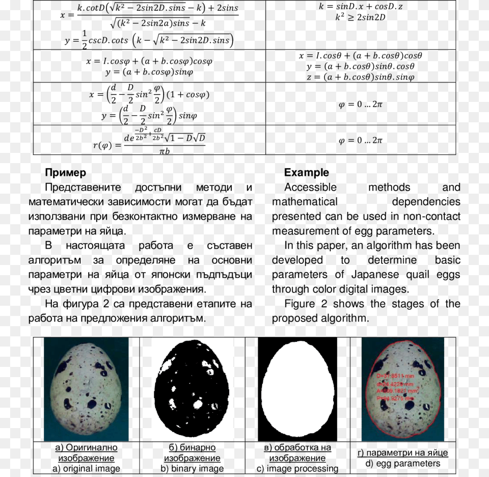 Document, Egg, Food, Astronomy, Outer Space Free Png